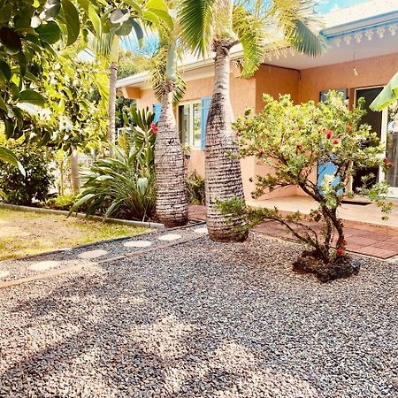 L'Oasis Saint Pierroise Et Son Jacuzzi Villa Ngoại thất bức ảnh